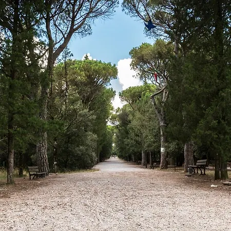 Bluebay Colle Della Trinita Perugia Corciano