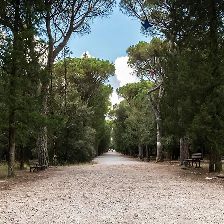 Bluebay Colle Della Trinita Perugia